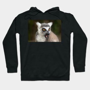 What The?? Ring-Tailed Lemur Hoodie